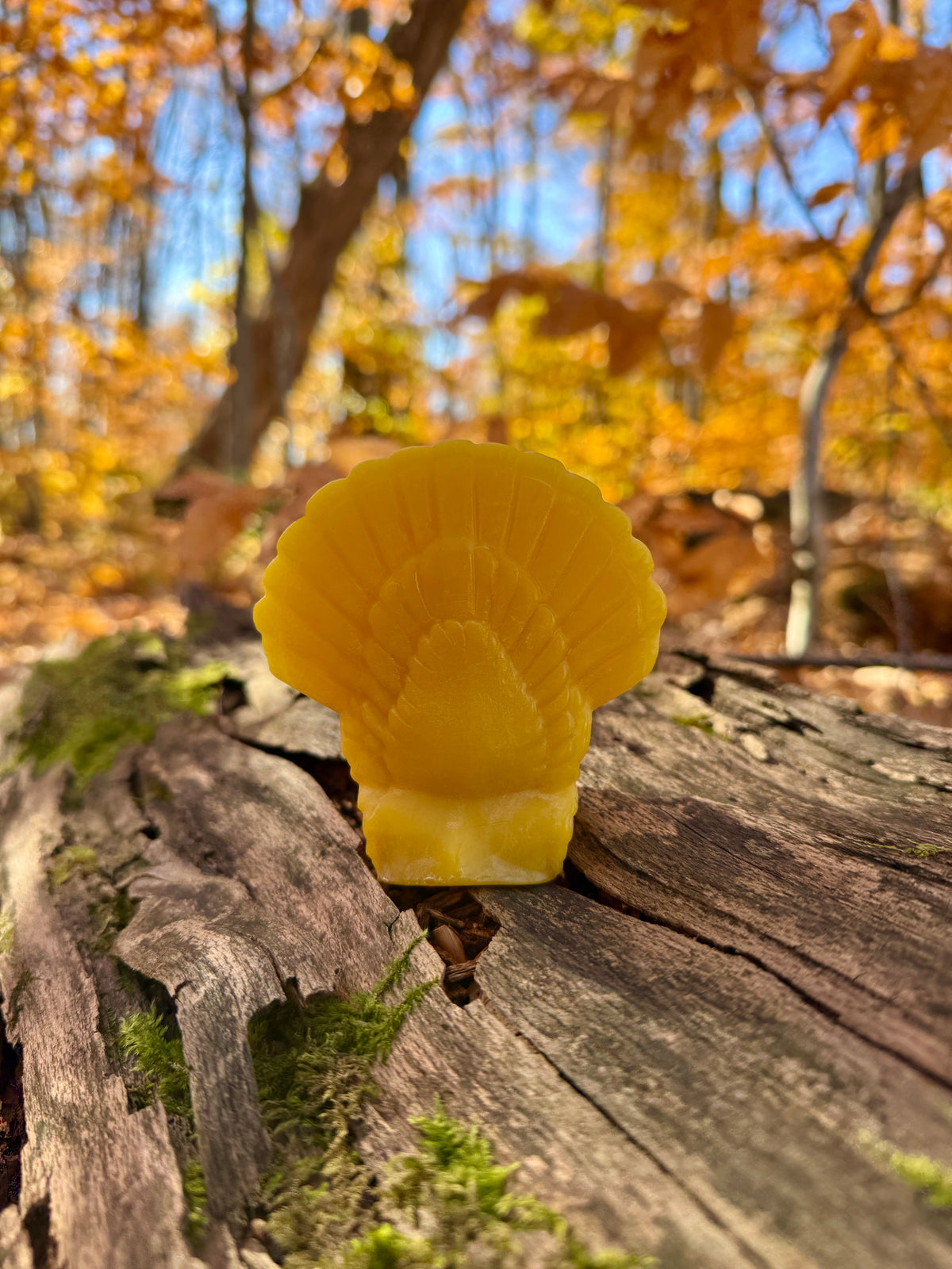 Pure Beeswax Candle - Turkey