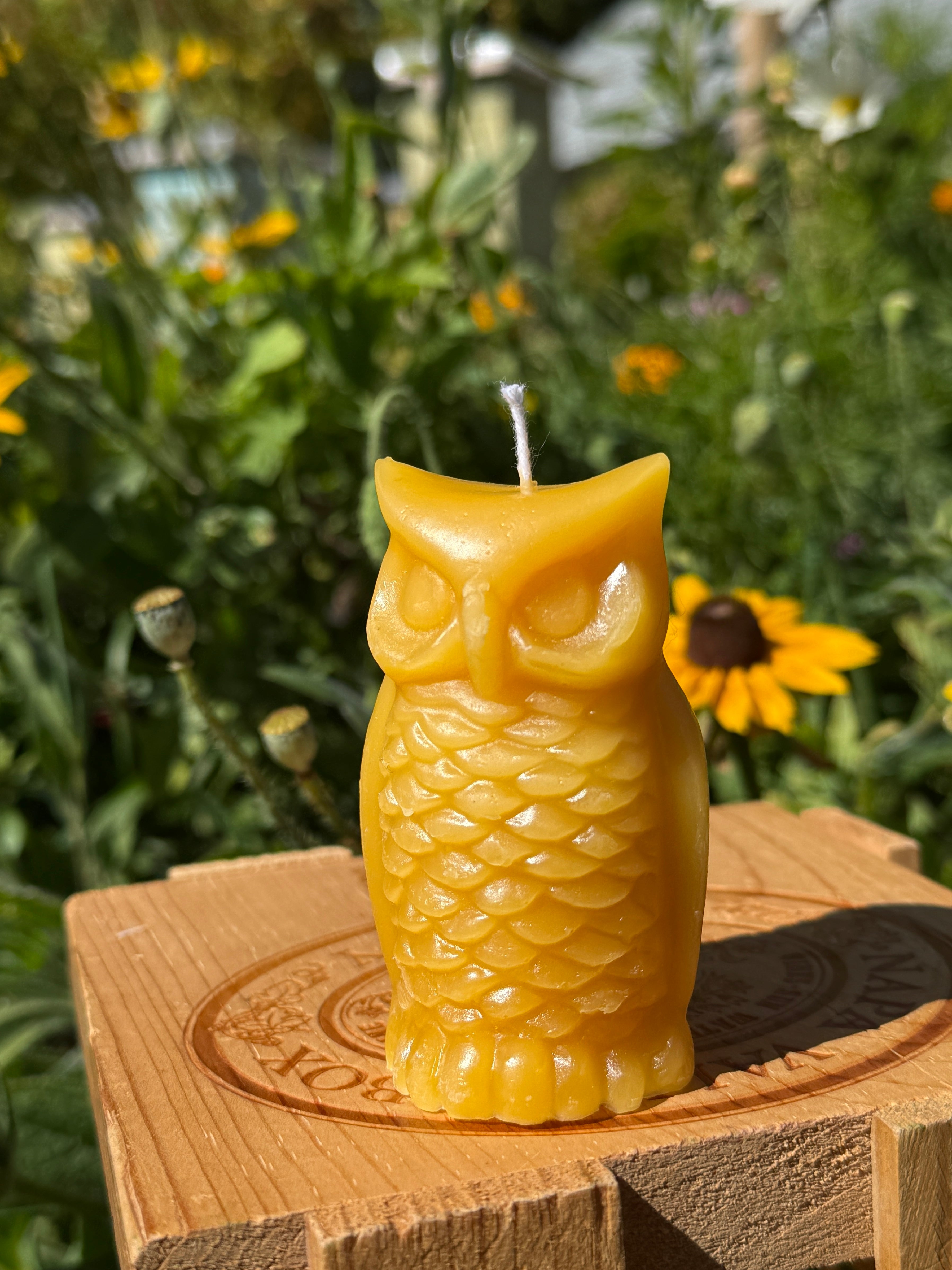 Pure Beeswax Candle - Owl – Humming Meadow