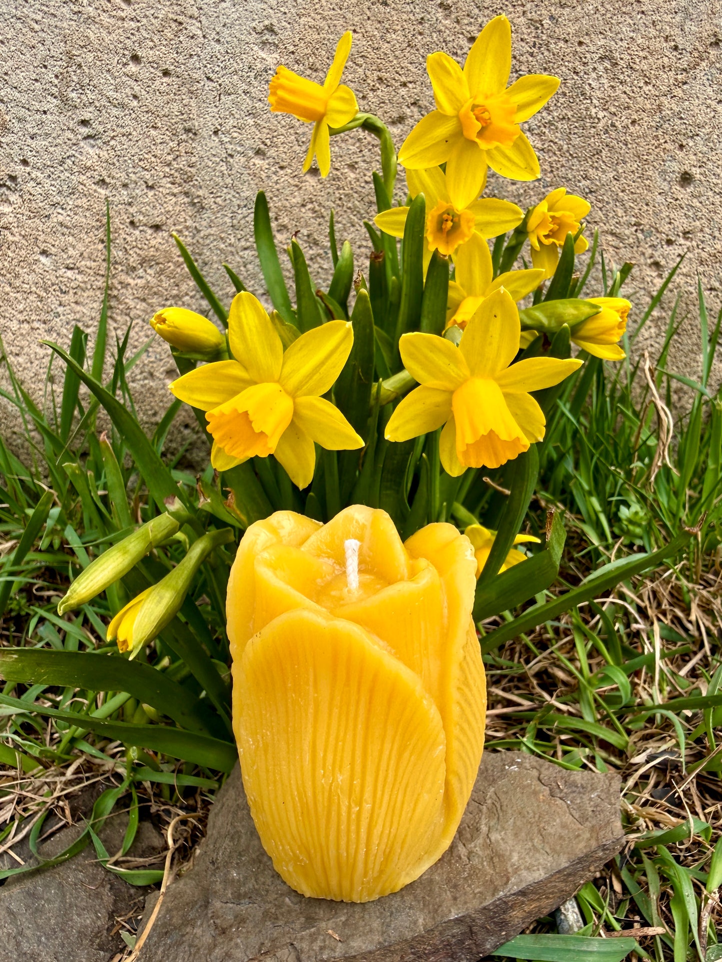 Pure Beeswax Candle - May Flowers