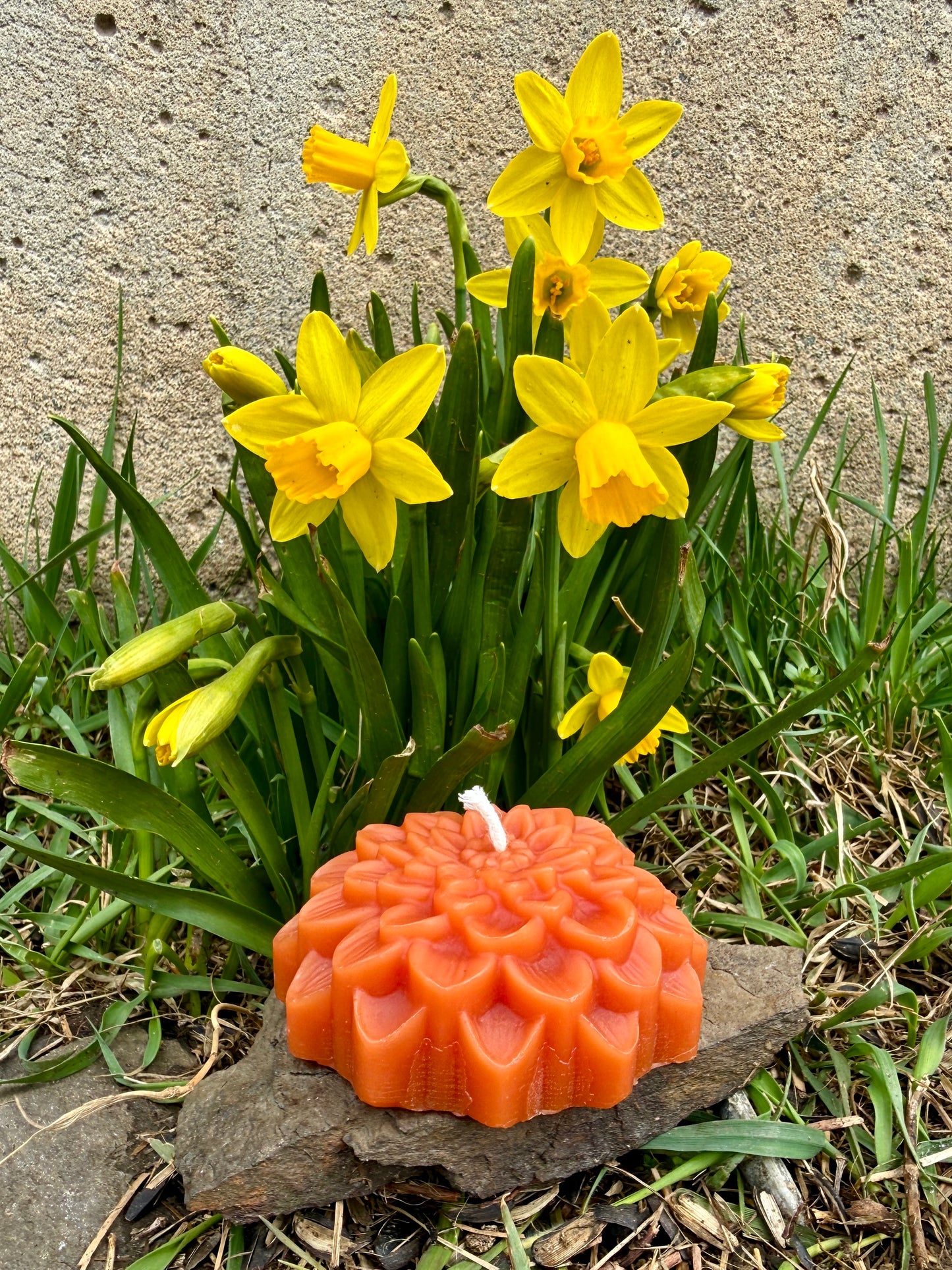 Pure Beeswax Candle - Zinnia