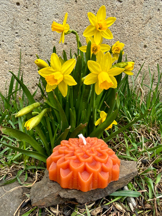 Pure Beeswax Candle - Zinnia