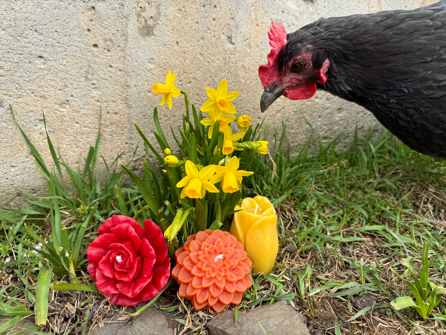 Pure Beeswax Candle - May Flowers