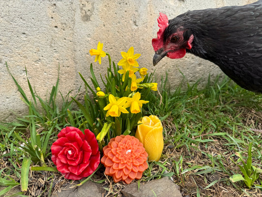 Pure Beeswax Candle - May Flowers