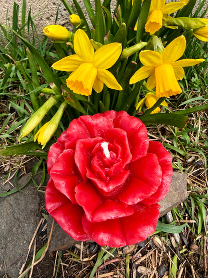 Pure Beeswax Candle - May Flowers
