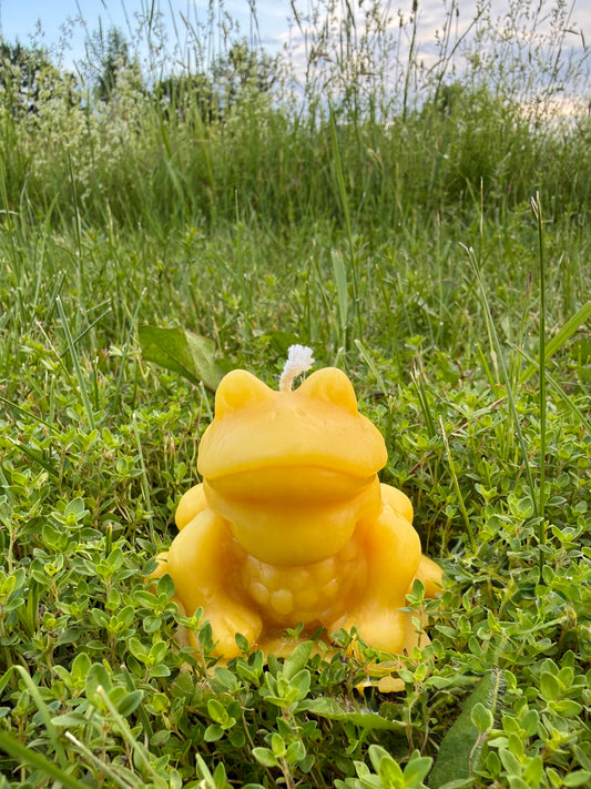 Pure Beeswax Candle - Frog