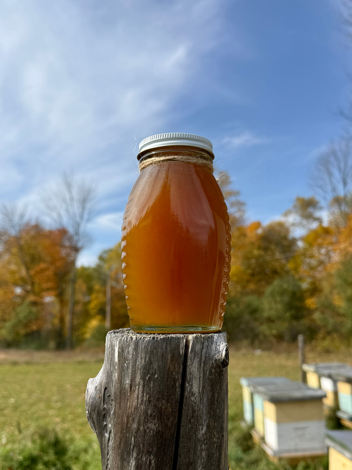 A glass jar filled with amber honey sits on a weathered wooden post outdoors, with a blue sky, trees, and beehives blurred in the background.