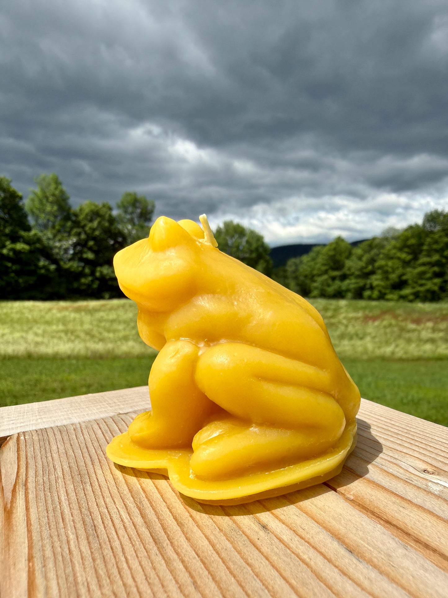 Pure Beeswax Candle - Frog