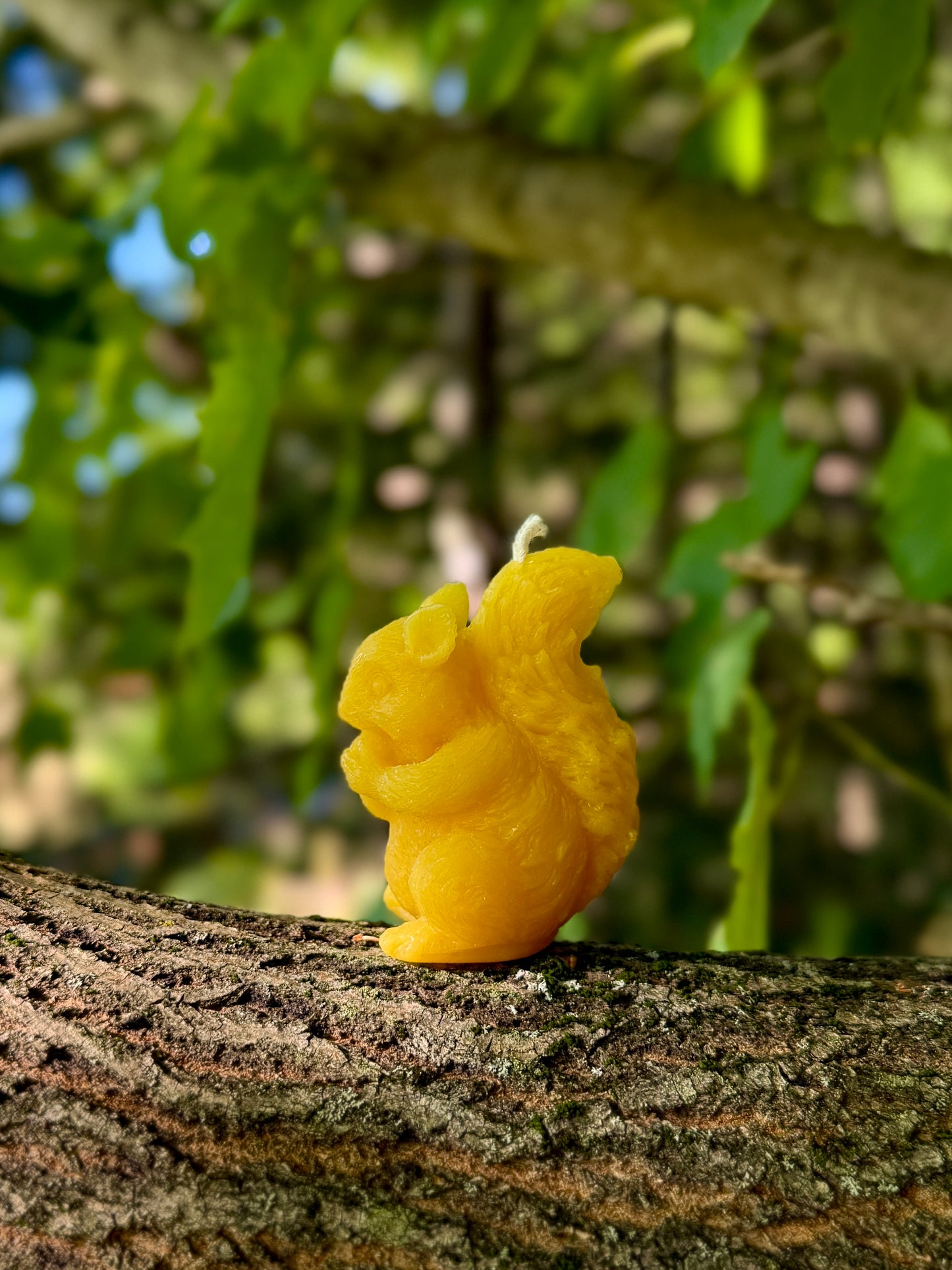 Pure Beeswax Candle - Squirrel
