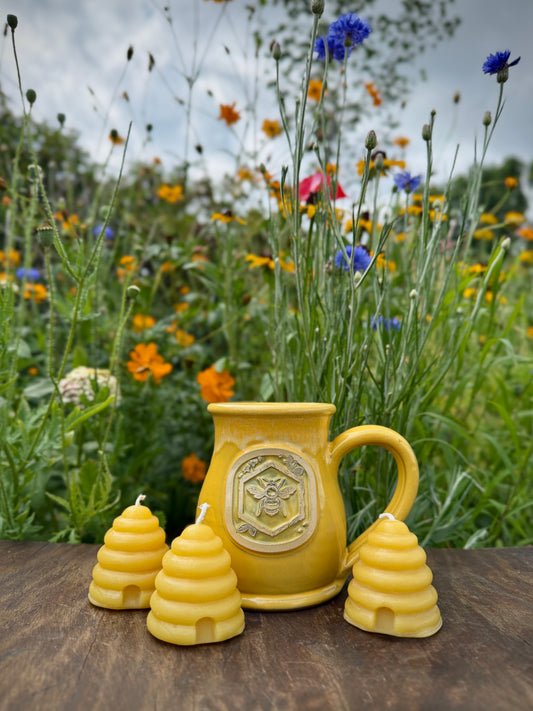 Summer Sunshine Bundle