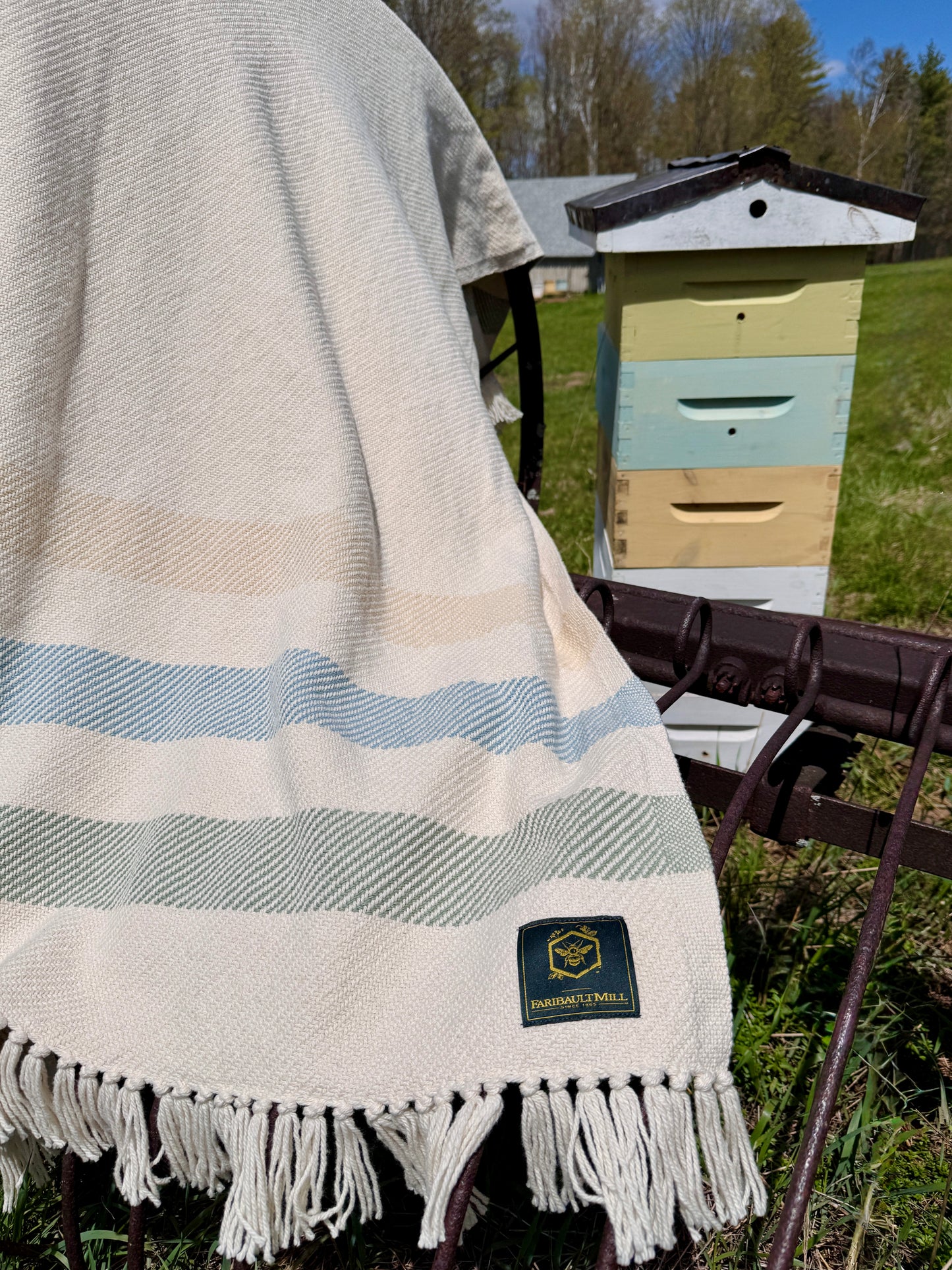 Cotton Throw Blanket