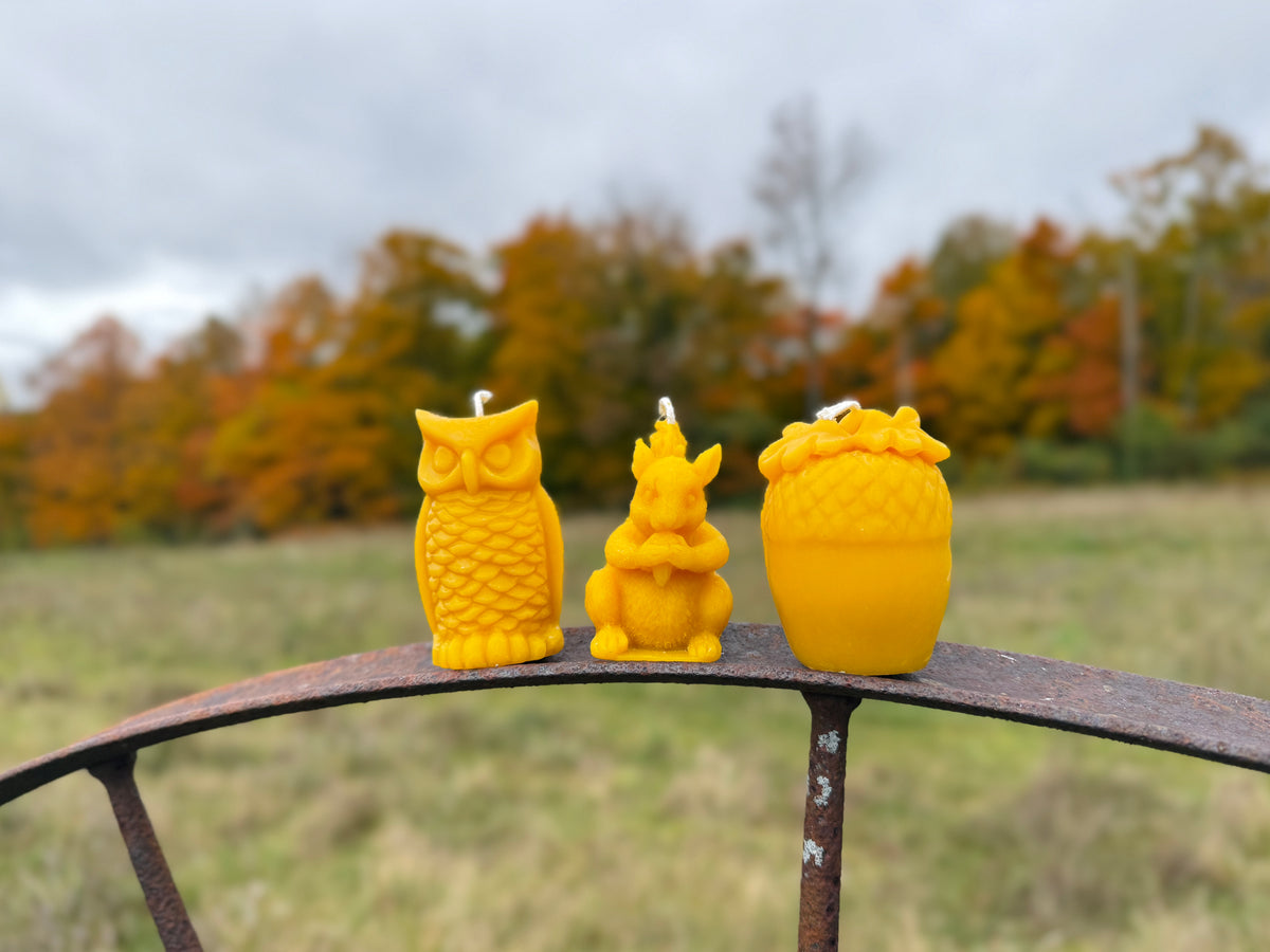 The Food Chain Candle Bundle