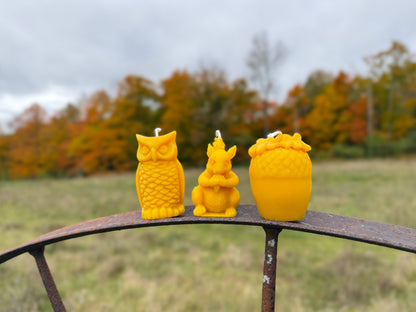 The Food Chain Candle Bundle