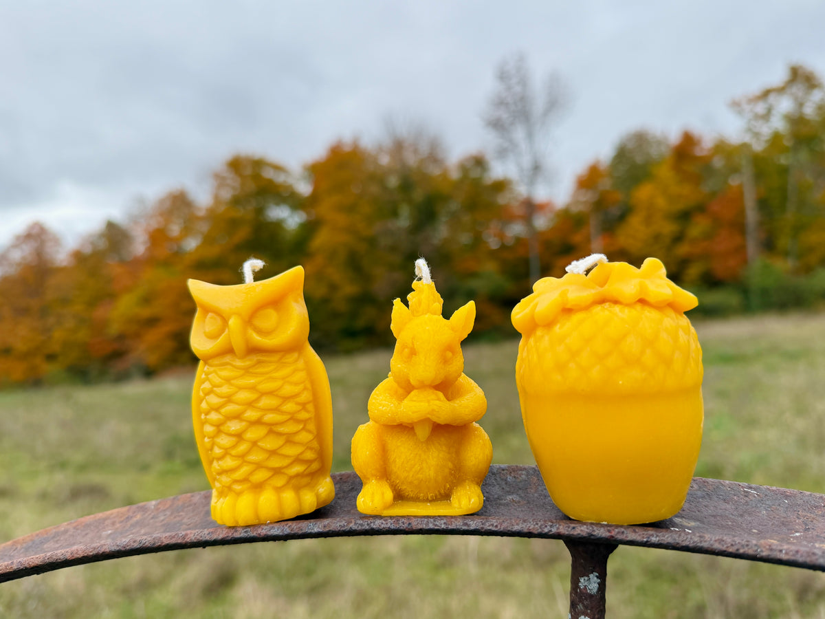 The Food Chain Candle Bundle