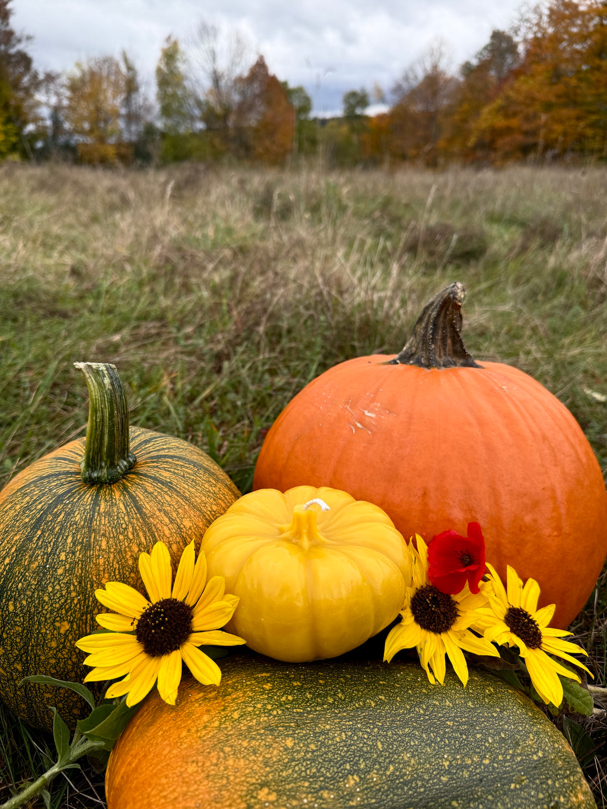 Pure Beeswax Candle - Pumpkin