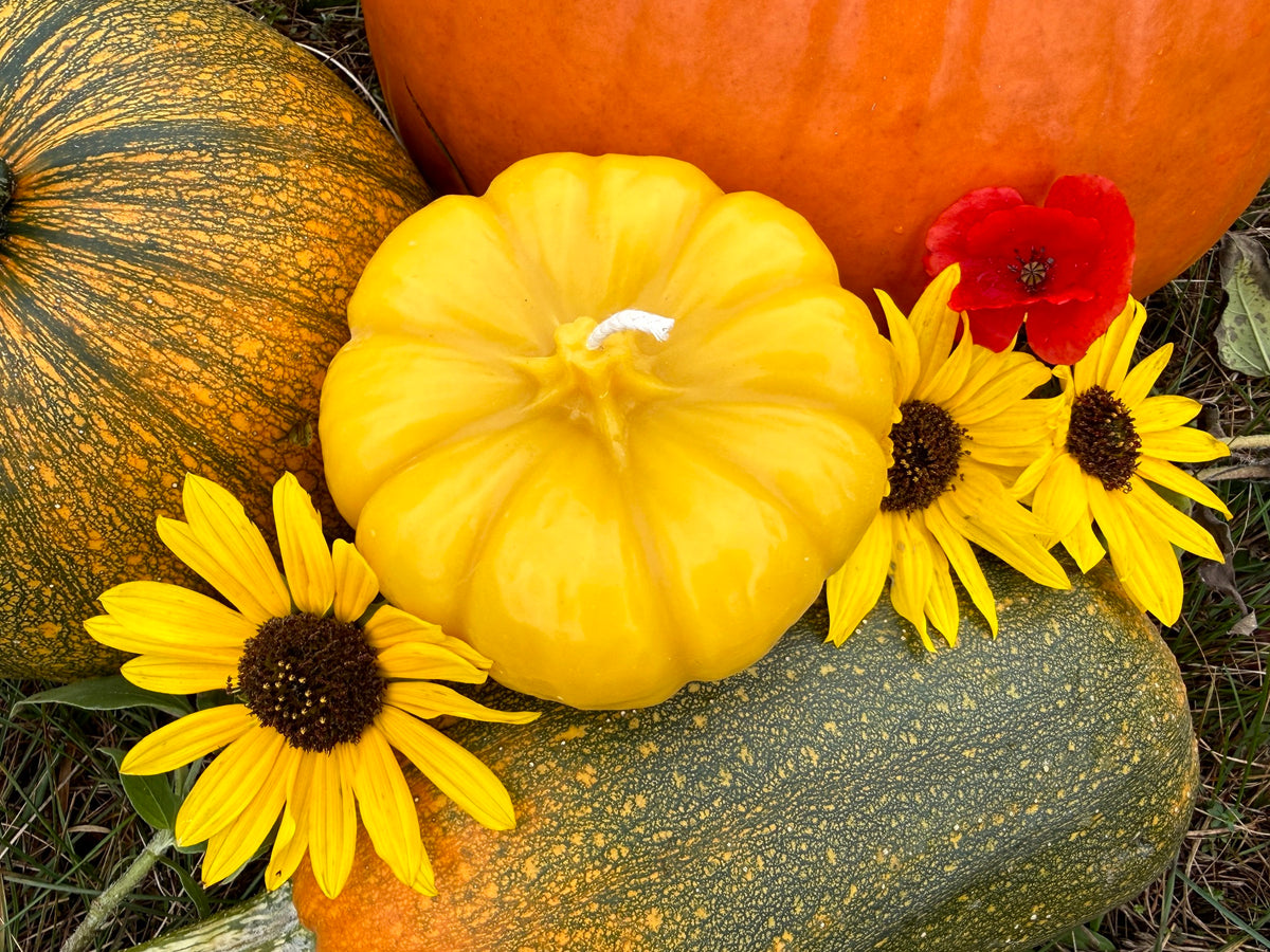 Pure Beeswax Candle - Pumpkin