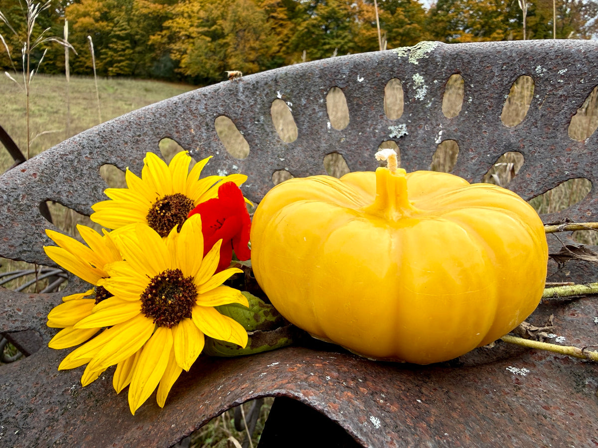 Pure Beeswax Candle - Pumpkin