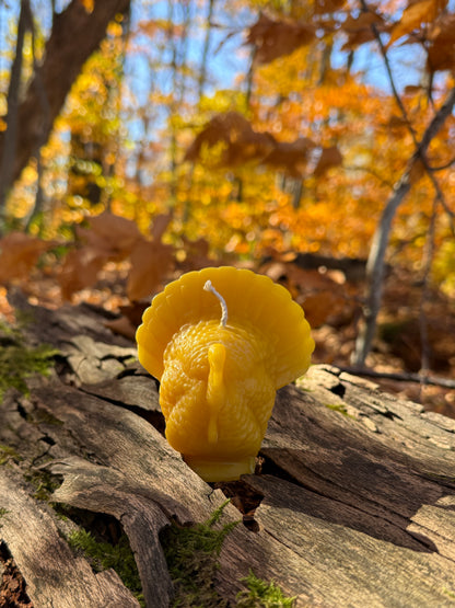 Pure Beeswax Candle - Turkey