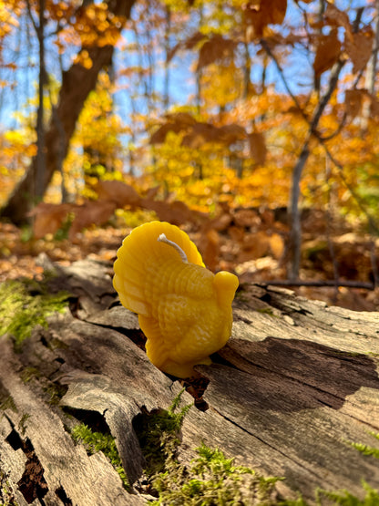 Pure Beeswax Candle - Turkey