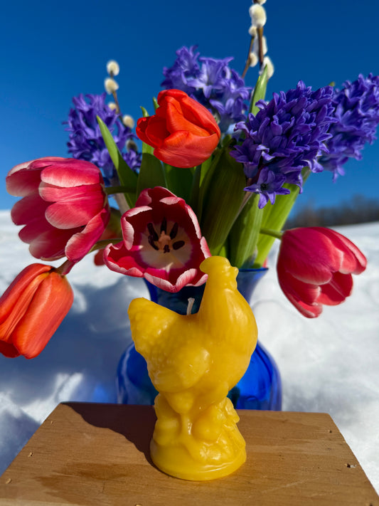 Pure Beeswax Candle - Hen