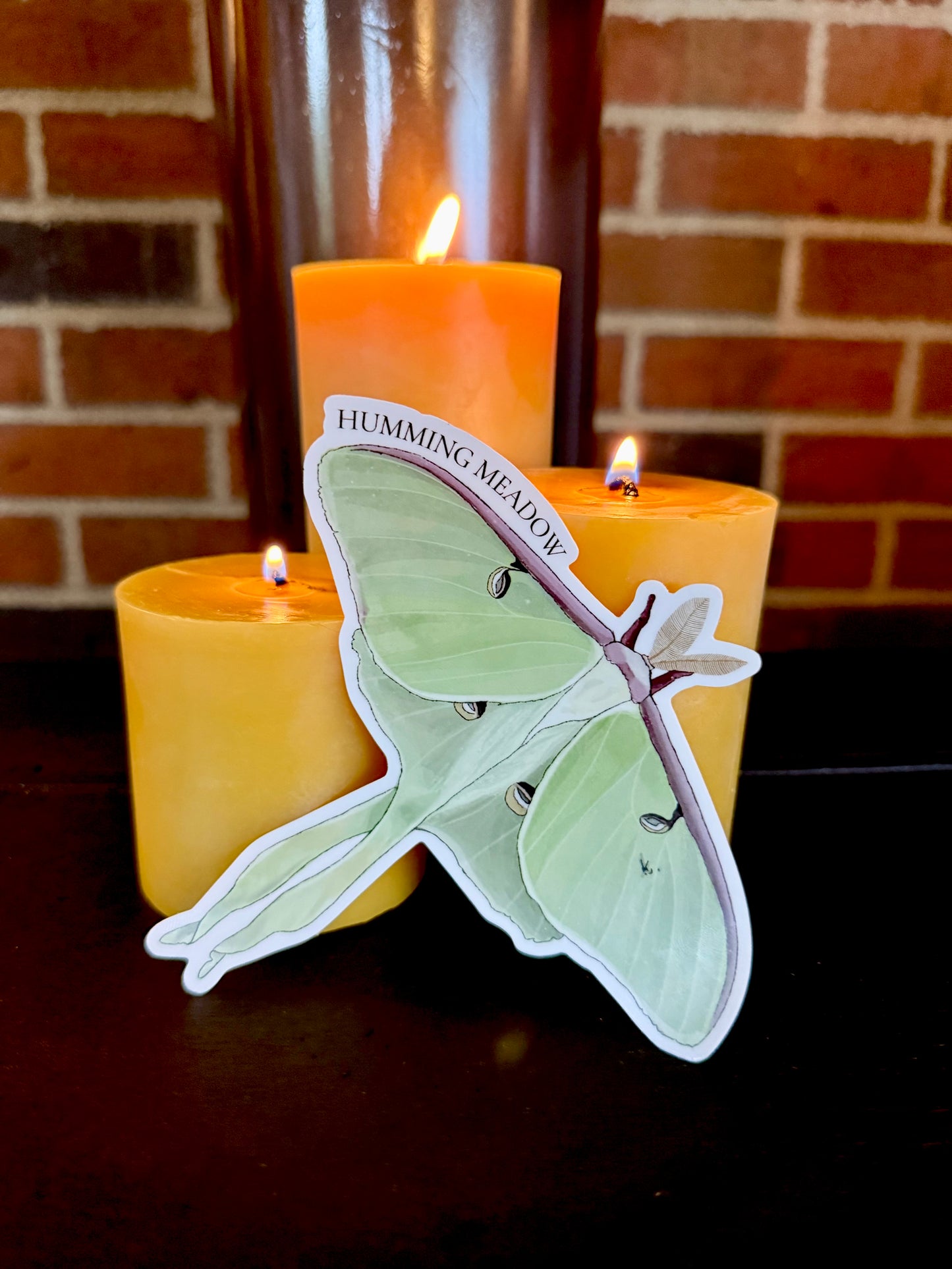 The Moth to a Flame Bundle
