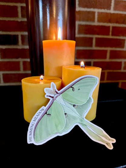 The Moth to a Flame Bundle